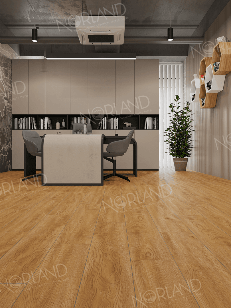 https://bitrix.alpinefloor.su/upload/iblock/34d/l1uuz2obc6wme1di3mngfh7f3k9yy9p7/LF301_10_11zon.png